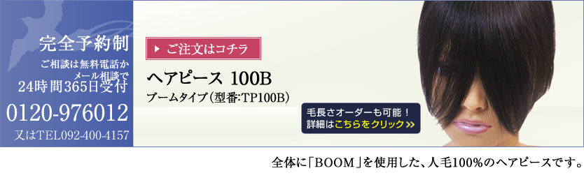 �w�A�s�[�X100B�u�[���^�C�v�@�^�ԁFTP100B